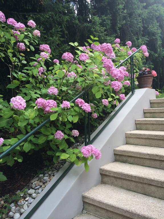 Exquisites Gartenapartment In Eleganter Jugendstilvilla Bécs Kültér fotó